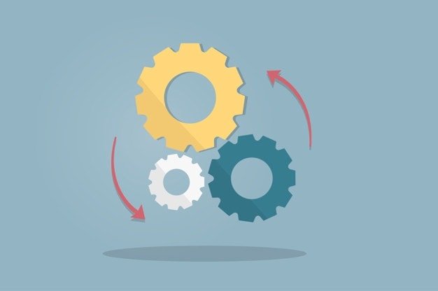 Process of Organization