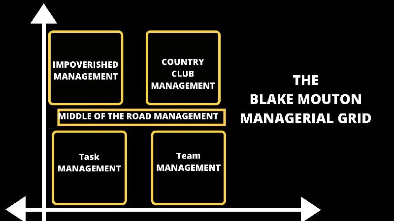 Understanding the Blake Mouton Managerial Grid Model